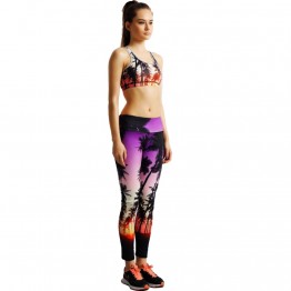 2016 New High Quality Women's Yoga sets Beautiful Scenery Print Padded Sports Bra Long Pants Leggings Fitness Gym Suits SM4S021