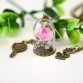 2017 Beauty Retro Glass Vial Necklace Butterfly whish Accessories Necklace Red Rose Dried Flower Jewelry for Women Girls