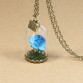 2017 Beauty Retro Glass Vial Necklace Butterfly whish Accessories Necklace Red Rose Dried Flower Jewelry for Women Girls