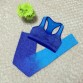 [AP] New Women Sports Bra Set Fitness Padded Shakeproof Bra Gym Sports Leggings Fitness Gradient Ramp Push Up Seamless Top Bras