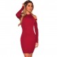 ForeFair Autumn Winter Sexy Off Shoulder Club Party Dresses 2016 Women Long Sleeve Cotton Elastic Casual Bodycon Dress32747251771