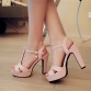 Plus size 34-43 New 2017 Summer Women Sandals Fashion Thick High Heels Party Shoes T-Strap Rome Style Ladies Beach Shoes