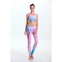 Two Pieces Vest+Pants Sport Wear Running Jogging Yoga Set Legging Fitness Gym for Women Bra+Trouser Suit Set 2017 New Style 