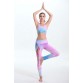 Two Pieces Vest+Pants Sport Wear Running Jogging Yoga Set Legging Fitness Gym for Women Bra+Trouser Suit Set 2017 New Style32794221585