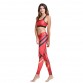 YOUNGA High Waist Band Red Yoga Sets Top Bra Bottom Pant Activewear Gym Outfits Running Tights Women Sports Leggings Fitness32669346577