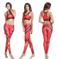 YOUNGA High Waist Band Red Yoga Sets Top Bra Bottom Pant Activewear Gym Outfits Running Tights Women Sports Leggings Fitness32669346577